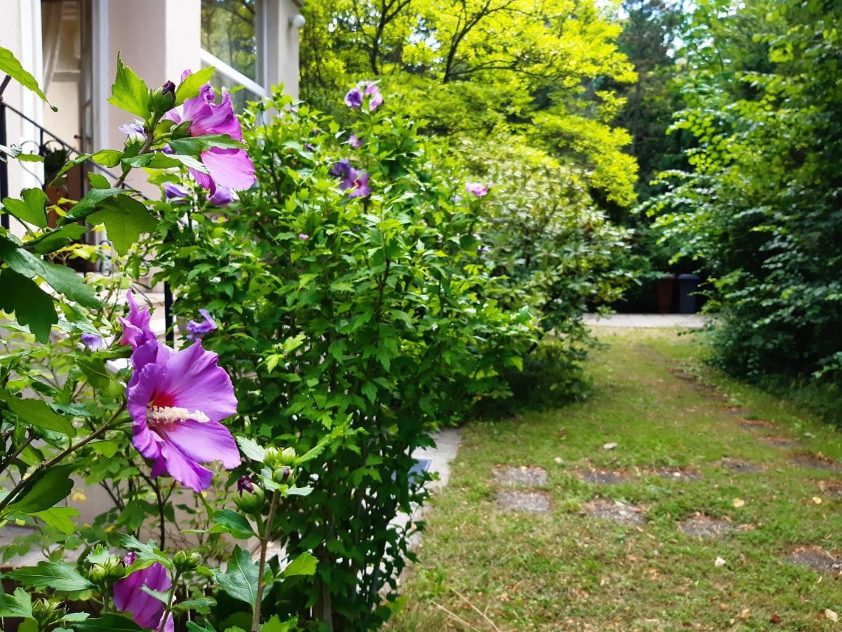 Pension Villa Inge Badeni járás Kültér fotó