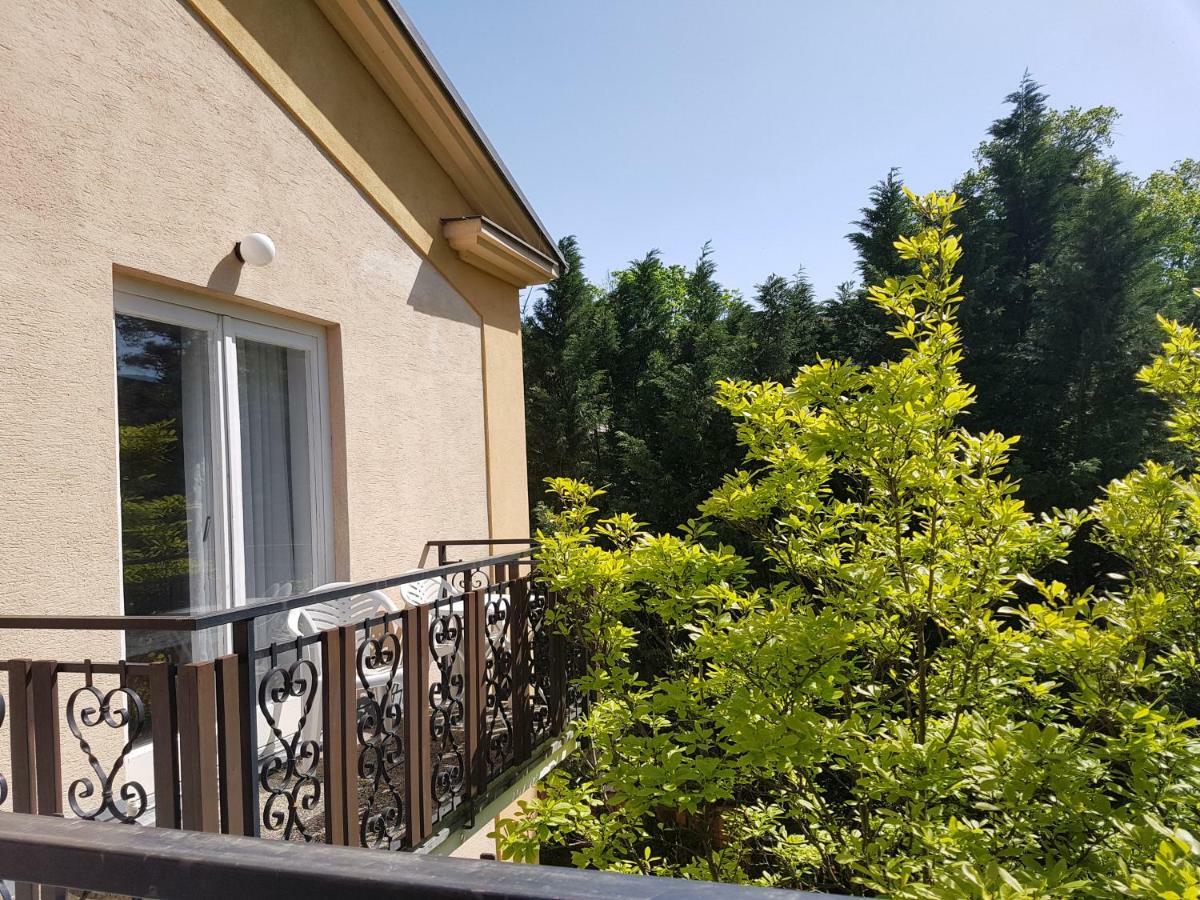 Pension Villa Inge Badeni járás Kültér fotó